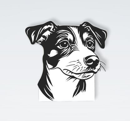 Pets Interchangeable Fronts
