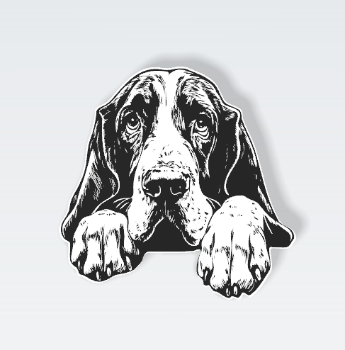 Pets Interchangeable Fronts