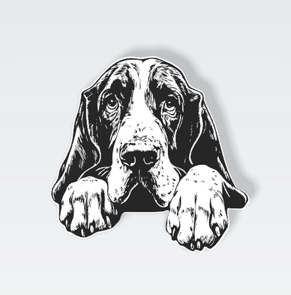 Pets Interchangeable Fronts