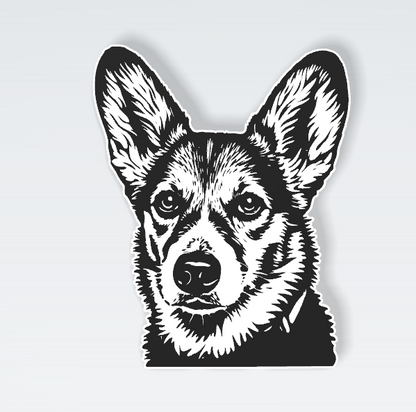 Pets Interchangeable Fronts