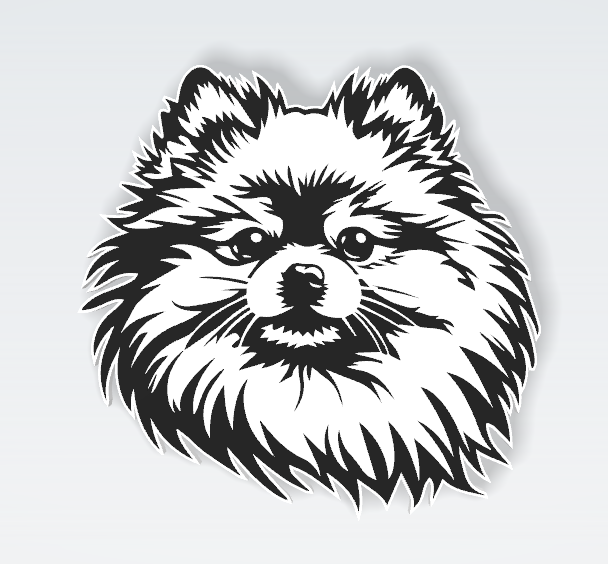 Pets Interchangeable Fronts