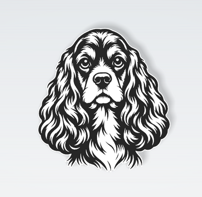 Pets Interchangeable Fronts