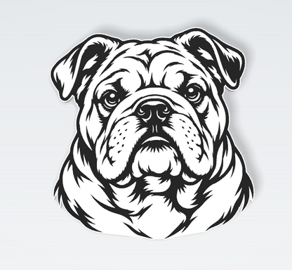 Pets Interchangeable Fronts