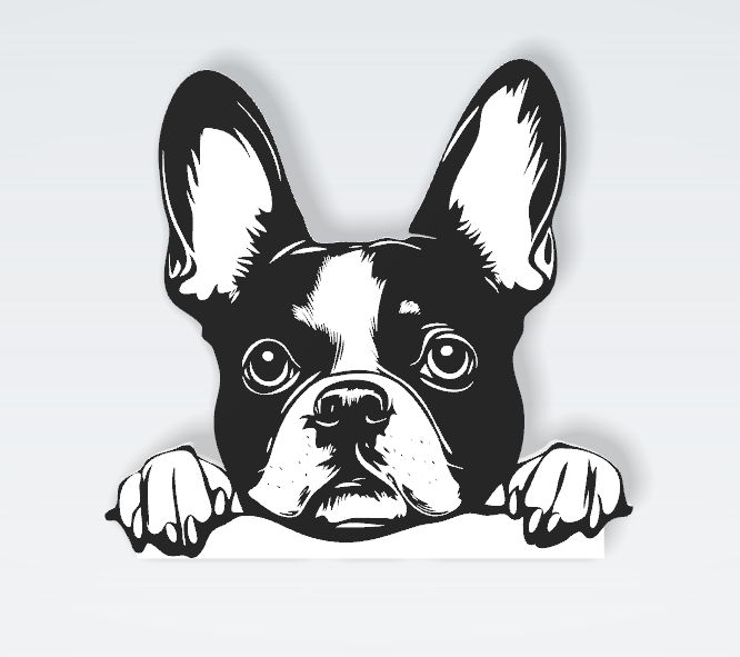 Pets Interchangeable Fronts