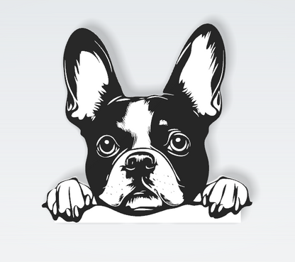 Pets Interchangeable Fronts